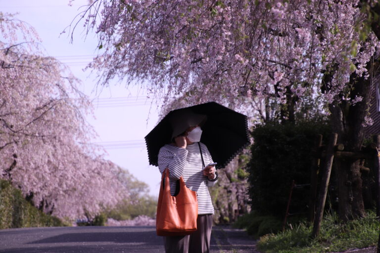 我が家の風習（恒例行事）